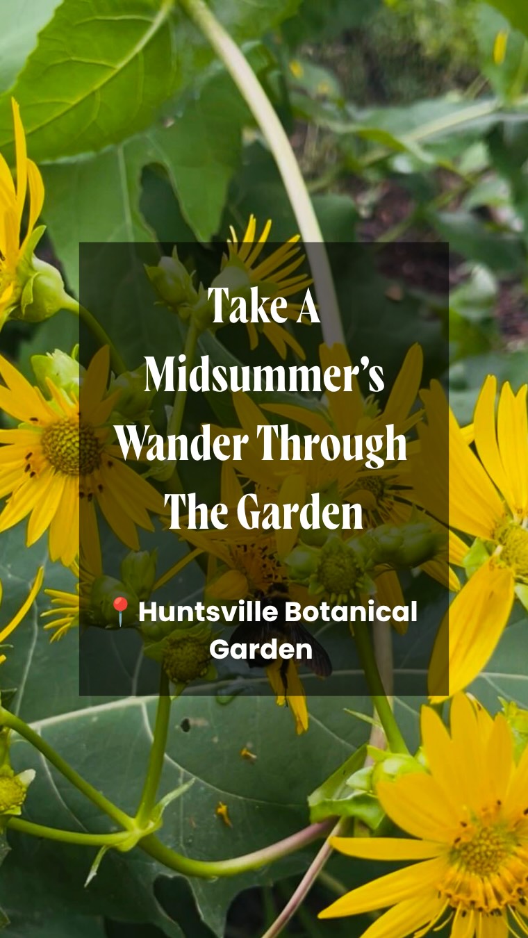 Tag the friend who needs to touch some grass! 🌿😂

With 118 acres to explore, the Huntsville Botanical Garden is the perfect nature escape. Wander nearly two miles of winding trails, explore eight interactive garden experiences, and soak up a little time outdoors.

And there’s always something happening – from Shakespeare in the Garden and FestiFall to the Scarecrow Trail and winter’s Galaxy of Lights. 🍂🎄 

No matter the time of year, there’s something for everyone to enjoy and learn.