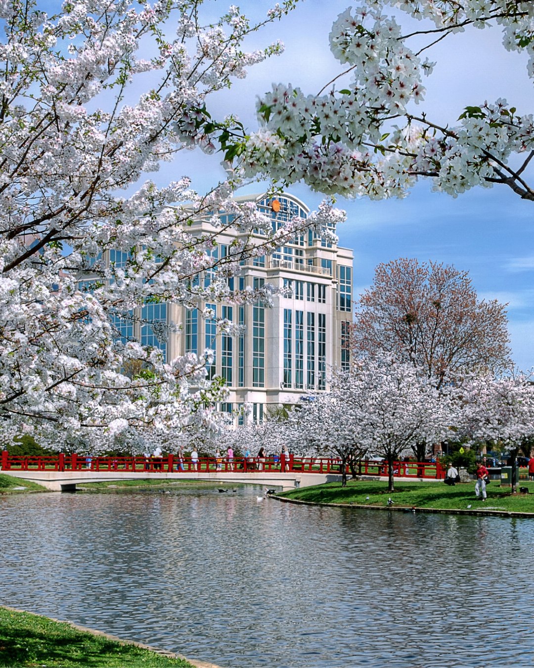 In the heart of downtown, Big Spring International Park offers a peaceful escape with walking paths, an iconic red bridge, and year-round events. 🌳 It’s the perfect place for a midday stroll, weekend festival, or sunset unwind in the Rocket City.