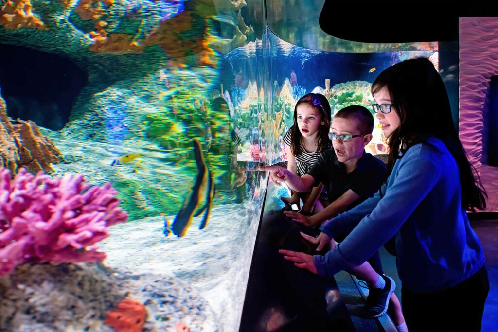 Cook Museum of Natural Science