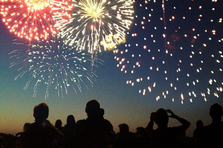 Families stare up at night sky with fireworks
