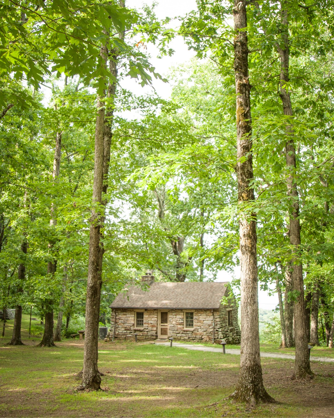 Adventure and scenic beauty meet at Monte Sano State Park. 🌲With hiking trails, overlooks, campgrounds, and peaceful woodland escapes, this mountaintop destination is a favorite for outdoor lovers year-round.