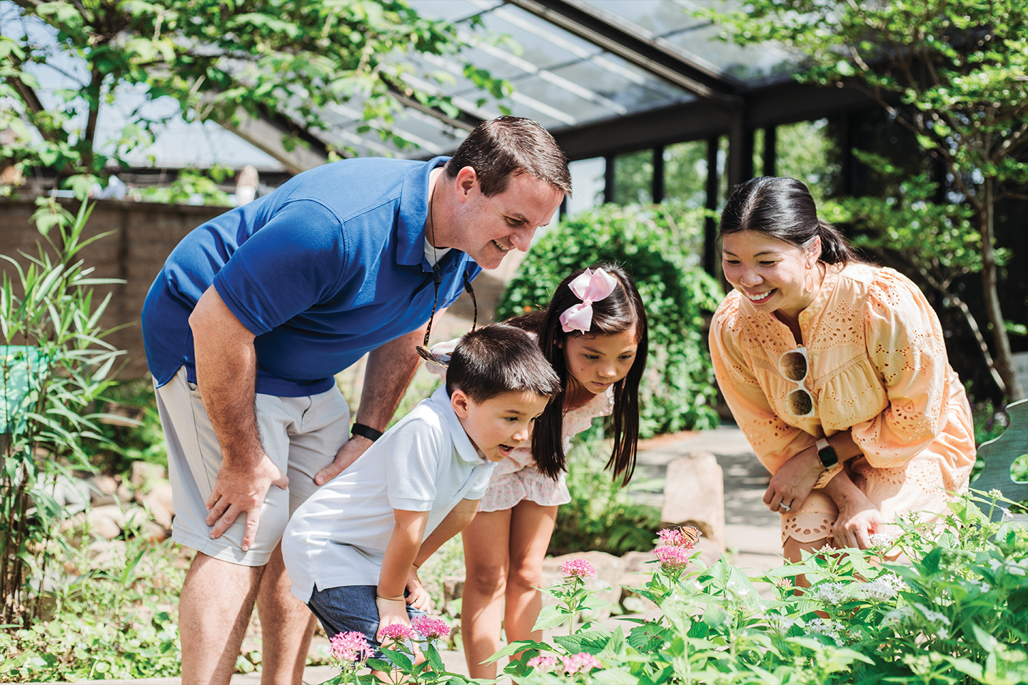Family of 4 looking at butterfly on flowers in botanical garden