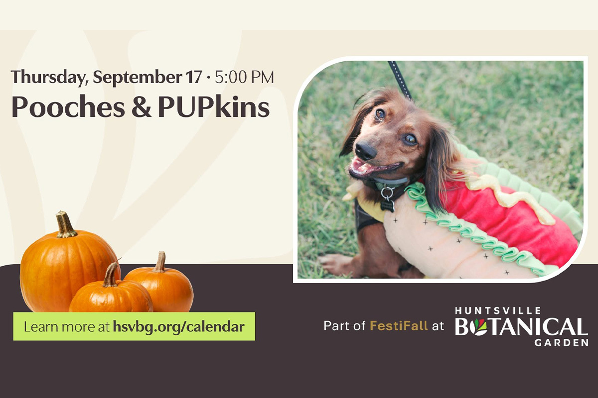 pooches and pupkins graphic
