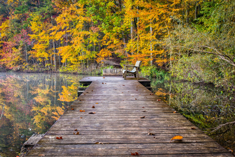 beautiful autumn leaves with a dock and water