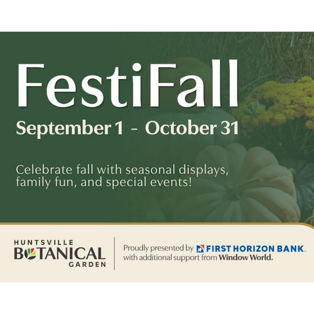 festifall graphic