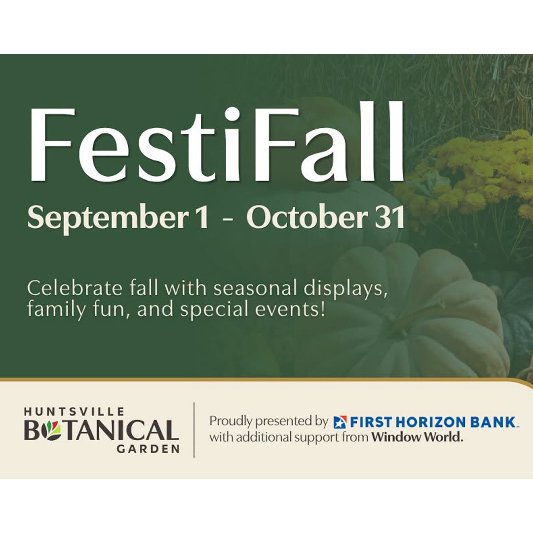 festifall graphic