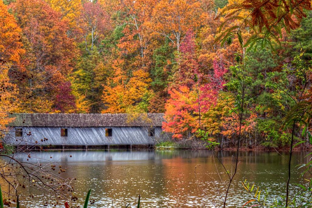 fall scene in Huntsville alabama