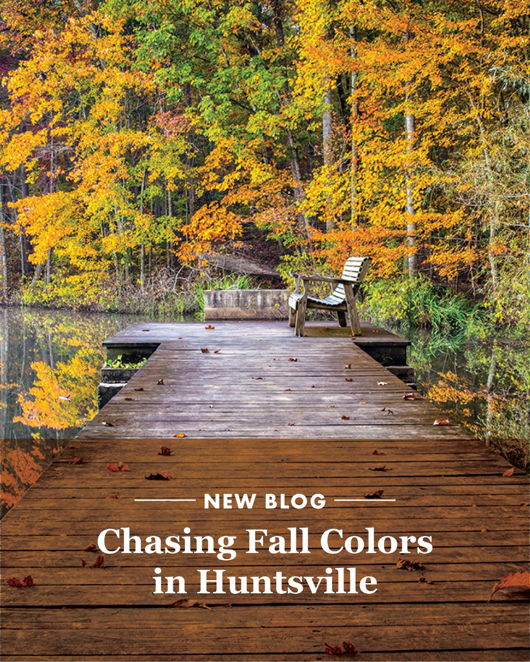 Fall is making its way across Rocket City, bringing colorful views and plenty of reasons to get outside. 🍂 From mountain trails to scenic parks, our latest blog rounds up some of the best places to chase fall colors in the Huntsville area.

To start planning your autumn adventures, head to our website at the link in the bio.